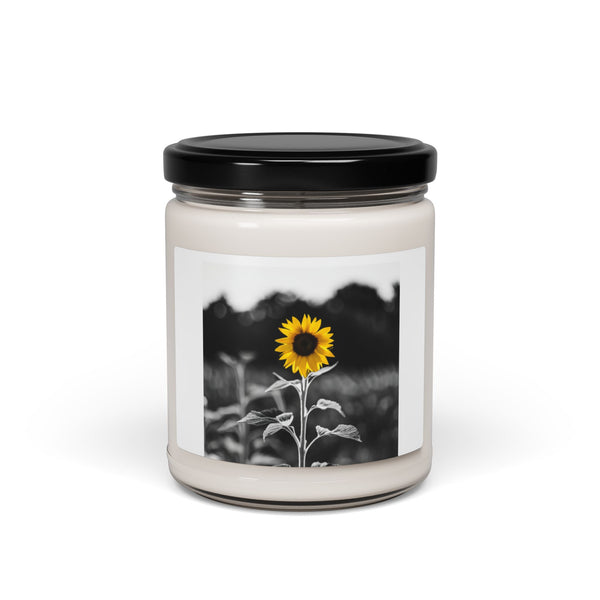 Let the SUN Always Take You From the Darkness - Scented Soy Candle, 9oz