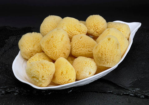 CARIBBEAN SILK FACIAL SPONGE - SET OF 2